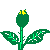 00002251