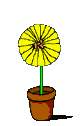 00002254