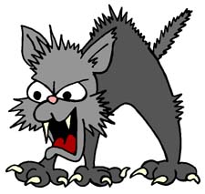 Cat19