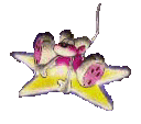 d-star