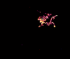 fe_we_20