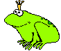 frosch21