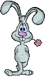 hase028