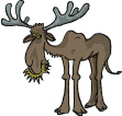 hirsch01