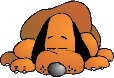 hund003