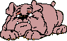 hund011