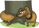 hund028