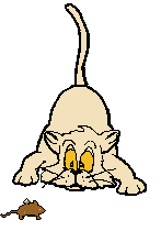katze026