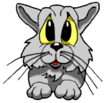 katze027