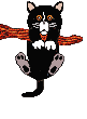 katze037