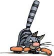 katze064