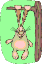 o_hase22