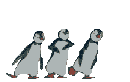 pingui22