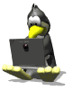 pingui24