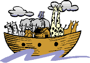 schiff24