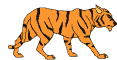 tiger01