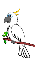 vogel061